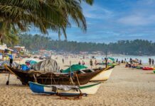 В Индии спасли туристку после нападения собак на пляже e2a42f27-17a5-4fe1-9ce2-c3e3b988428d-67eda7a9