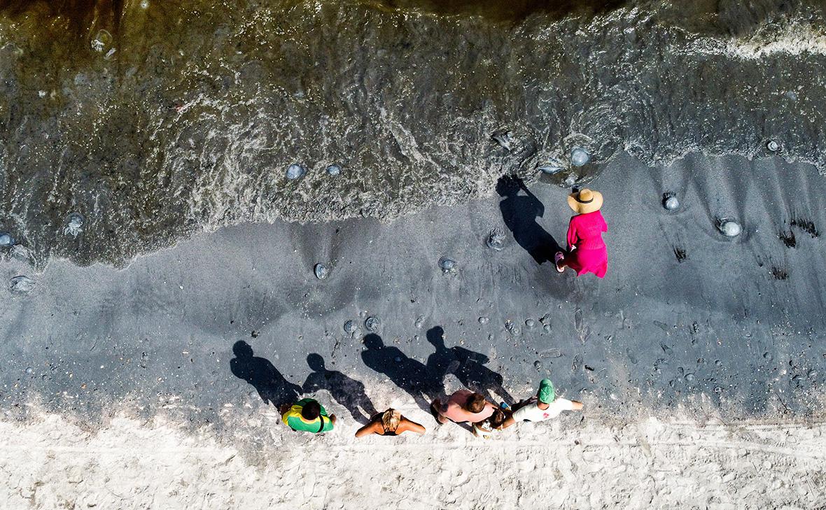 Побережье Азовского моря (Виталий Тимкив / РИА Новости)