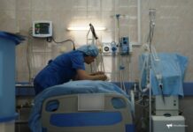 Жительница Приморья успешно перенесла сложную операцию после инцидента с лошадью facca149-bf8f-4e07-aeaa-4ddb03a9eab6-67e99a7c