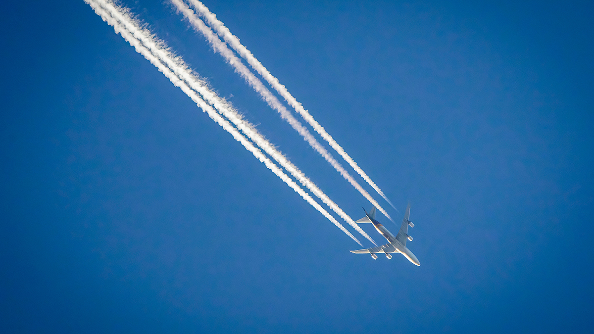 AZAL отменила полет в Казань из-за плана «Ковер»