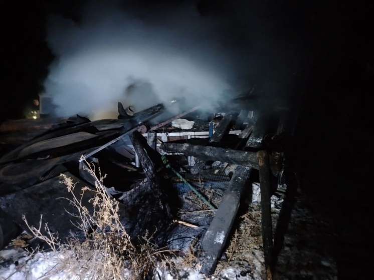 Тело пенсионера нашли при тушении пожара в курганской деревне