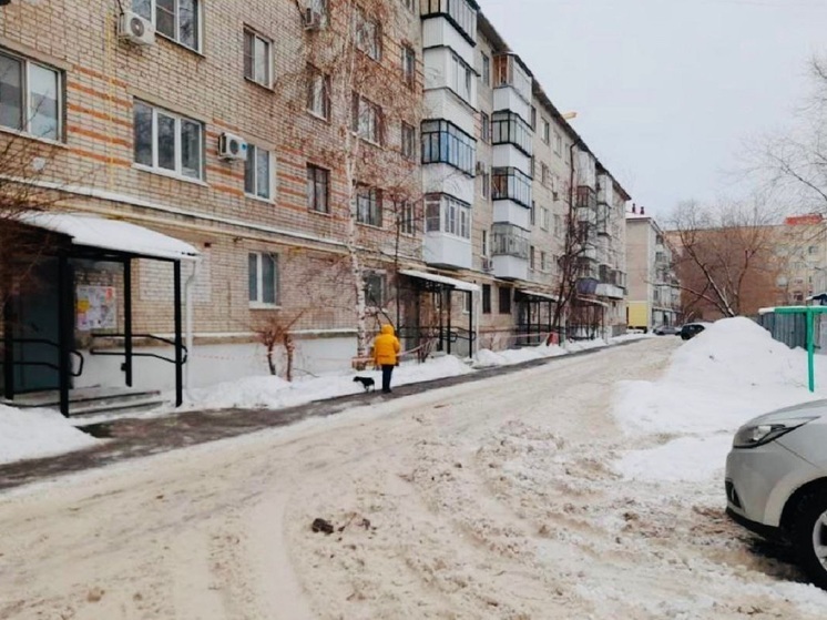 Вадим Шумков раскритиковал уборку дворов после снегопада в Кургане