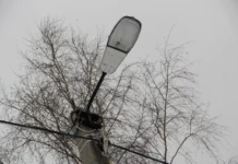 Екатеринбург станет ярче: масштабное обновление уличного освещения в 2025 году 251d5a62-a63b-4408-aa21-c4a34fa9cefc-6807d603