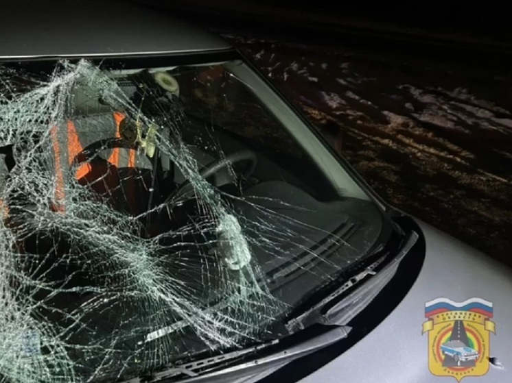 В городе Щучье насмерть сбили пенсионера-велосипедиста