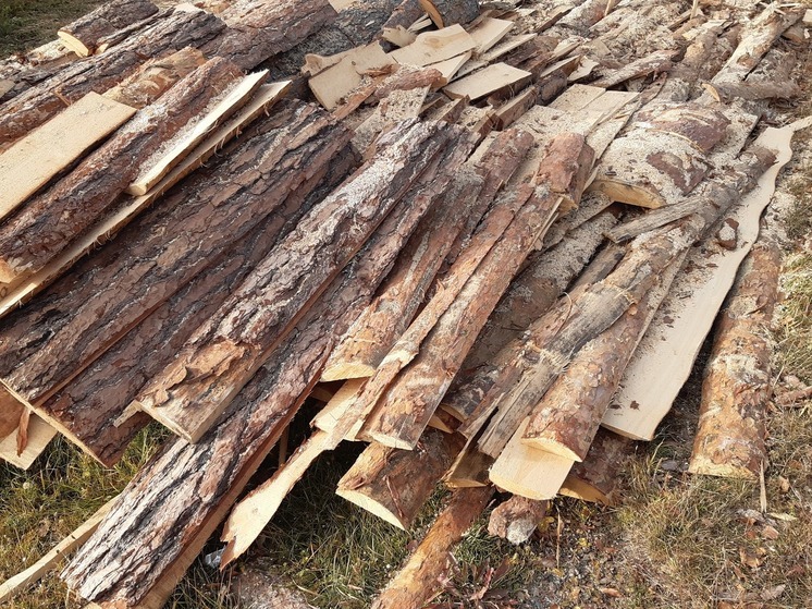 Жительницу Серова будут судить за контрабанду леса