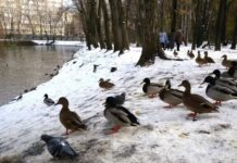 Синоптики рассказали когда ждать ослабления морозов в Свердловской области 99511526-65d2-4c8c-aa45-41b6d5ffa880-6807c784