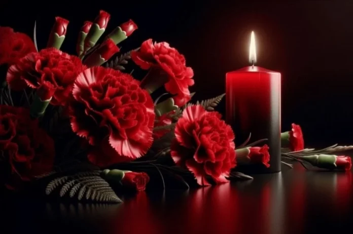 9a34fcf1-88d7-40e0-bd1e-af6e2eec902c-67f6a71e