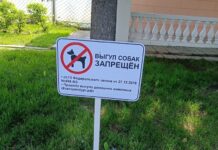 a69ce004-345d-419e-8718-b334c0a1e10c-680699bf