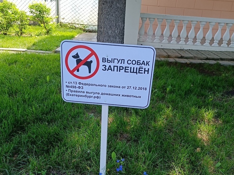 Жителей Екатеринбурга опрашивают на тему регистрации домашних животных