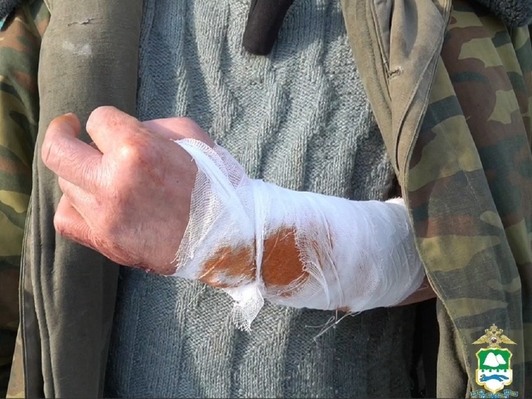 Участковый застрелил собаку, которая чуть не загрызла курганца