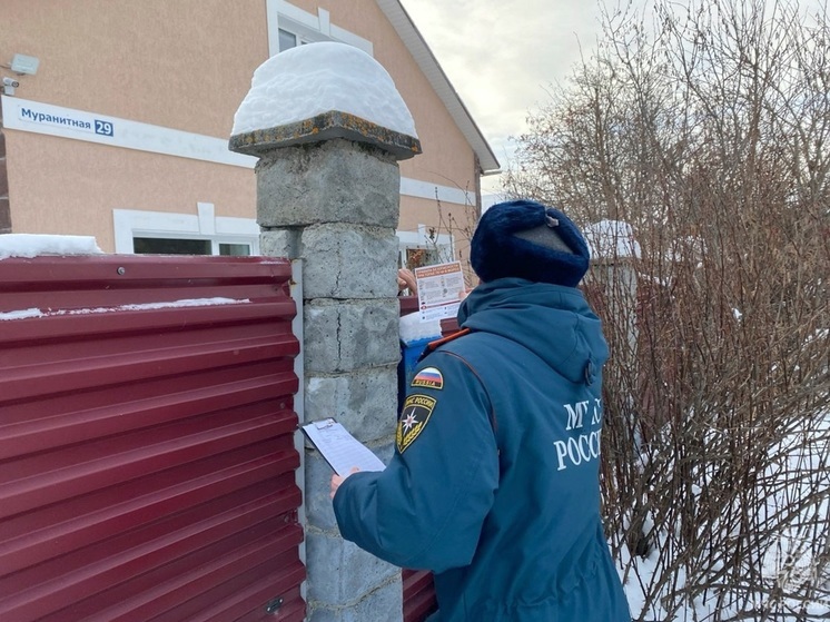 Курганские спасатели провели рейд в частном секторе