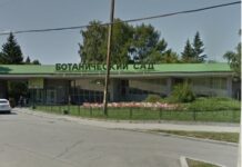 d5a8987b-f3c5-4023-ba9d-8bc297d0b03b-67fbb221