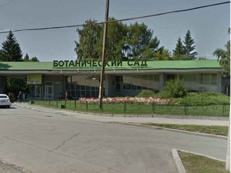 Тропическое дерево зацвело в оранжерее в Екатеринбурге