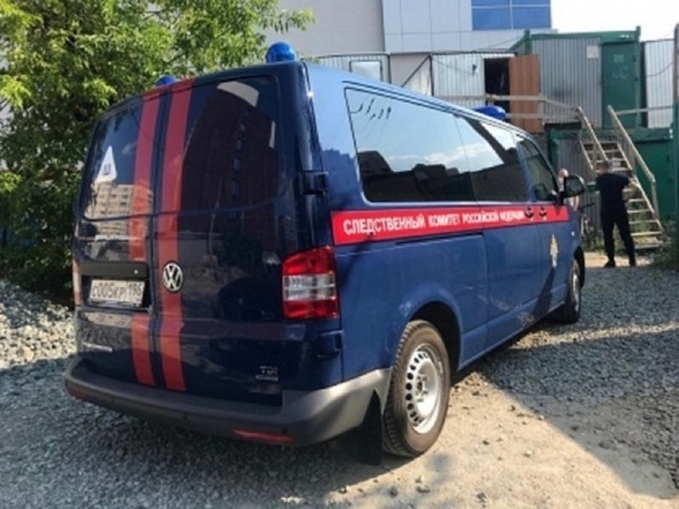 Екатеринбурженку подозревают в жестоком избиении двухлетнего сына