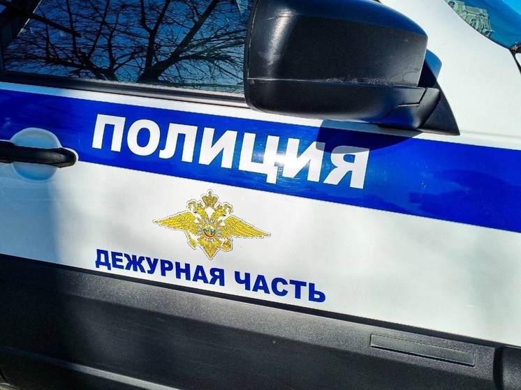 Бездомного, подозреваемого в изнасиловании курганской школьницы, поместили в психбольницу