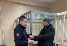 Приговор за незаконную вырубку леса подтвердил важность сохранения природных ресурсов prigovor za nezakonnuyu vyrubku lesa podtverdil vazhnost sohraneniya prirodnyh resursov-ekaterinburgu-ru-174063769100-0