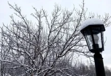 Прогноз погоды: уральцев ждет потепление в ближайшие дни prognoz pogody uralczev zhdet poteplenie v blizhajshie dni-ekaterinburgu-ru-174022694100-0