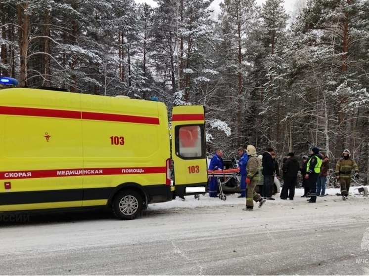 В уральском городе столкнулись два КАМАЗа, есть пострадавший