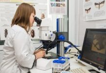 В Екатеринбурге предотвратили угрозу из-за опасных насекомых в партии гвоздик v ekaterinburge predotvratili ugrozu izza opasnyh nasekomyh v partii gvozdik-ekaterinburgu-ru-174065697000-0