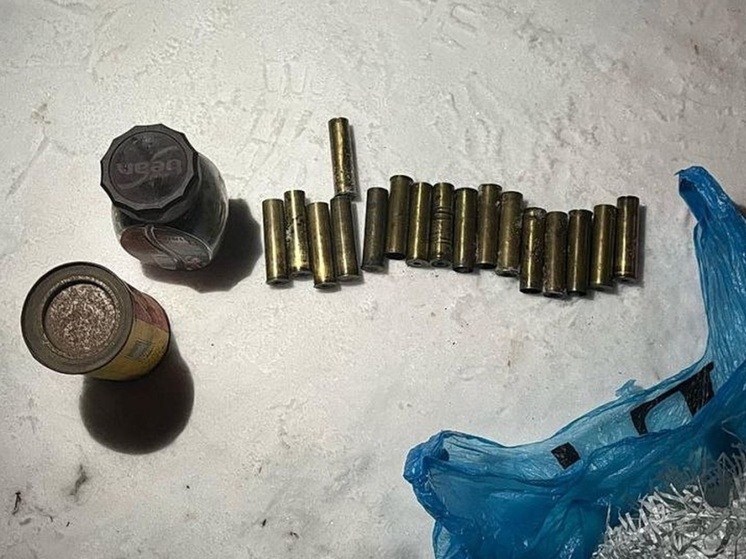 У жителя Курганской области изъяли взрывчатые вещества и оружие