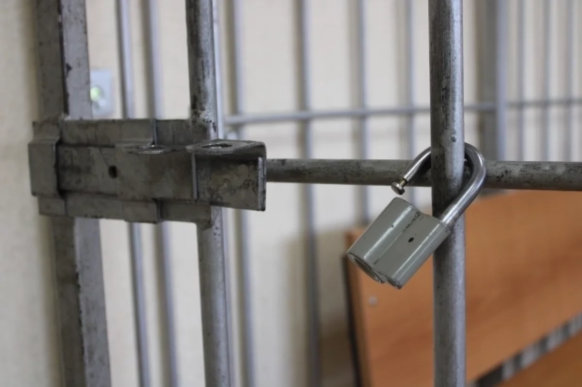Второй обвиняемый в деле о противоправных действиях против девушек взят под стражу на Урале-0