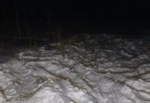 Житель Шатровского округа задержан за незаконную охоту на лося zhitel shatrovskogo okruga zaderzhan za nezakonnuyu ohotu na losya-ekaterinburgu-ru-174024075200-0