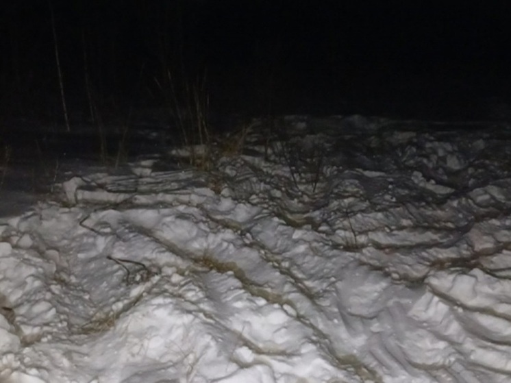 Жителя Шатровского округа подозревают в убийстве лося