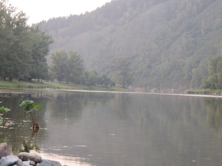 2 противоразмывных поезда сформируют к паводку в Курганской области