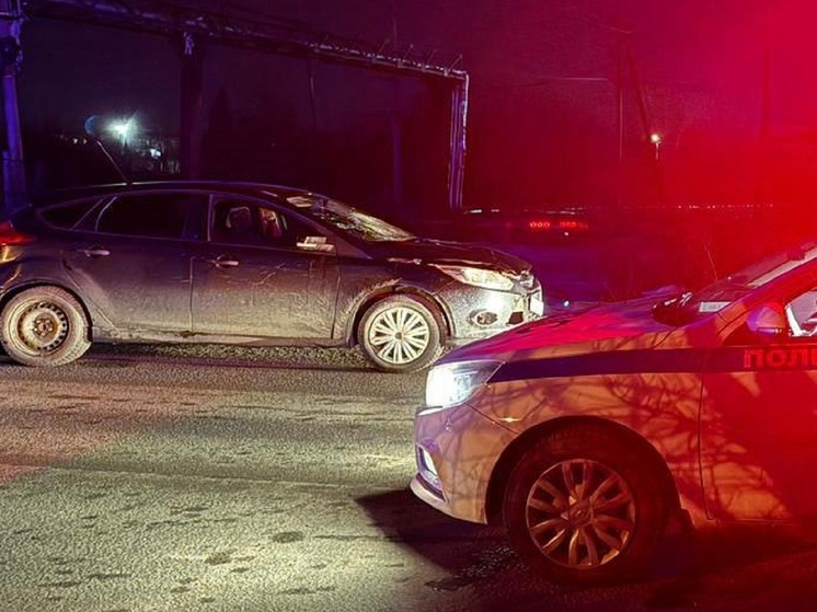 Возле Екатеринбурга под колесами Ford погиб мужчина, перебегавший дорогу