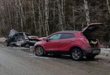 chetyre cheloveka poluchili travmy v dtp s avtogrejderom vozle nizhnego tagila-ekaterinburgu-ru-174186818900-0