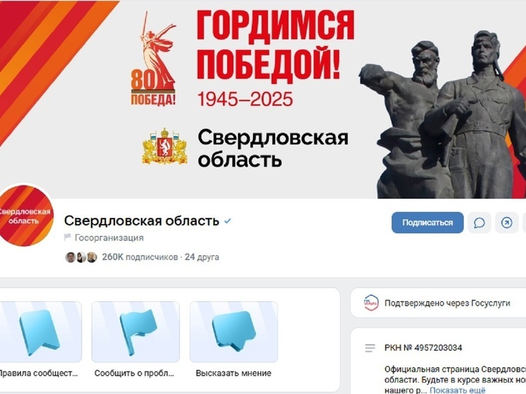 4548 госорганизаций Свердловской области зарегистрировали страницы в соцсетях