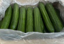 ekaterinburg poluchil 390 tonn ogurczov iz kazahstana po standartam rosselhoznadzora-ekaterinburgu-ru-174343314000-0