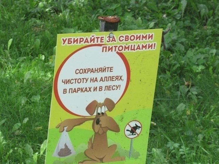 Екатеринбуржцы оценят необходимость строительства собачьих площадок на ВИЗе