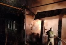 geroizm spasatelej mchs v kamenskeuralskom i alapaevske pri tushenii pozharov-ekaterinburgu-ru-174334213900-0