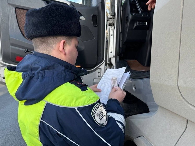 Свердловские автоинспекторы выявили свыше 1600 нарушений водителями большегрузов