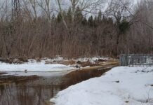 Катайск и районы Курганской области активно справляются с весенним паводком katajsk i rajony kurganskoj oblasti aktivno spravlyayutsya s vesennim pavodkom-ekaterinburgu-ru-174255539800-0