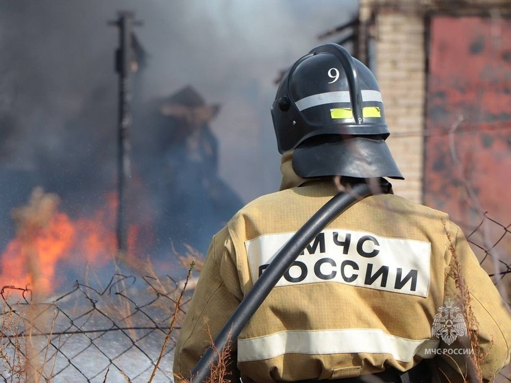 7 ландшафтных пожаров произошло в Зауралье за выходные