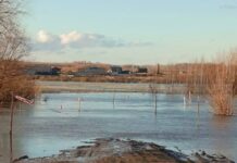 Оптимизация движения на автодороге Иртыш в Курганской области и прилегающих округах optimizacziya dvizheniya na avtodoroge irtysh v kurganskoj oblasti i prilegayushhih okrugah-ekaterinburgu-ru-174300252400-0