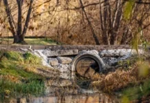 park 50letiya vlksm v ekaterinburge preobrazitsya blagodarya federalnoj programme-ekaterinburgu-ru-174221685100-0