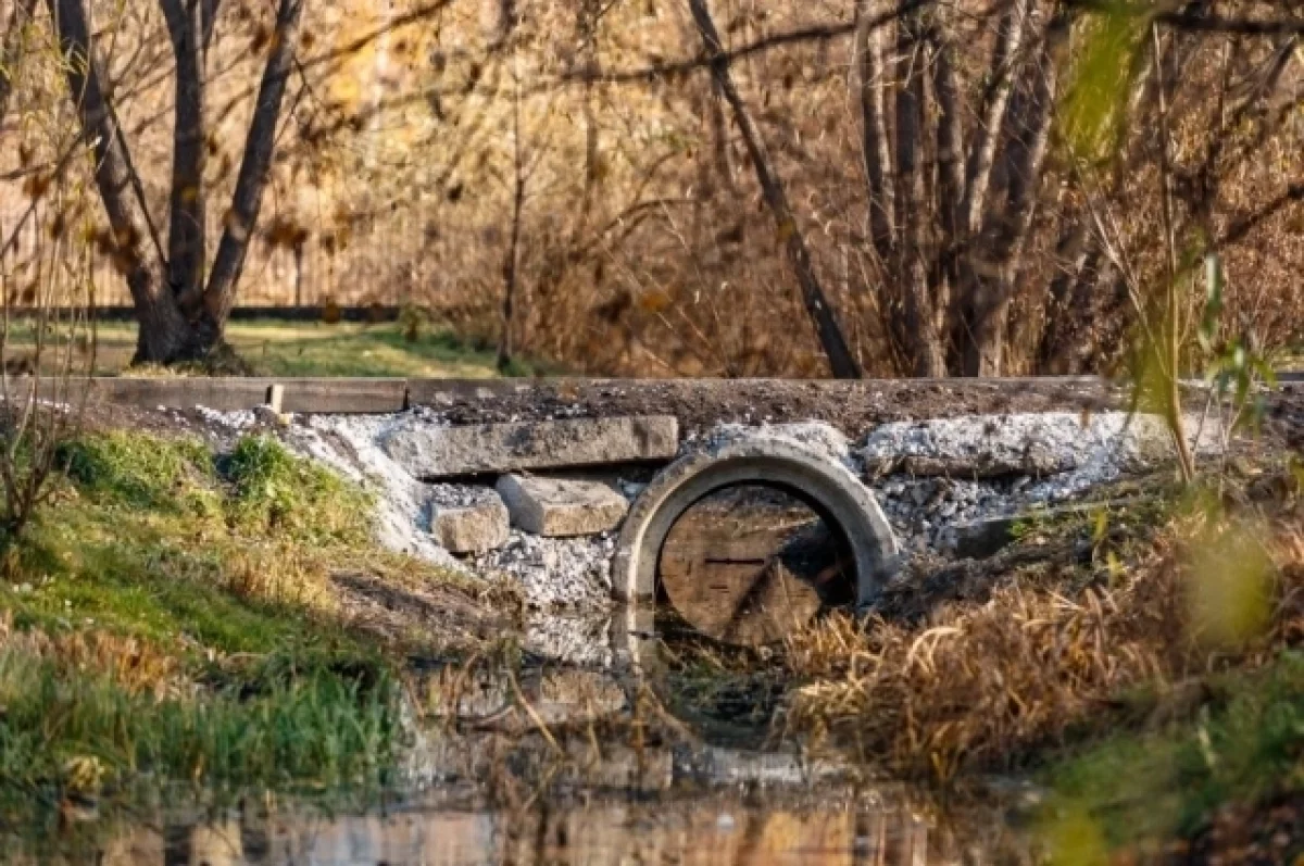Парк 50-летия ВЛКСМ в Екатеринбурге преобразится благодаря федеральной программе-0