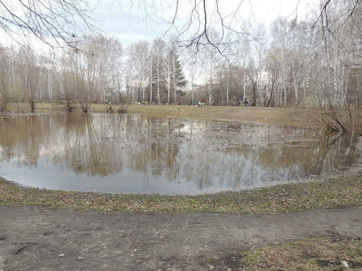 В Екатеринбурге благоустроят парк 50-летия ВЛКСМ