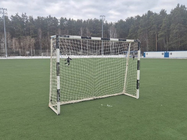 Ребенок получил тяжелые травмы из-за падения футбольных ворот в Екатеринбурге