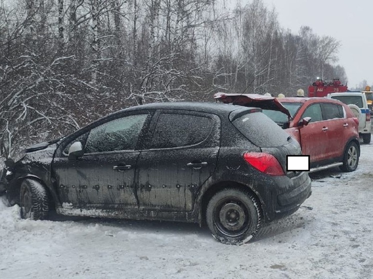 Пять человек пострадали в ДТП возле Екатеринбурга