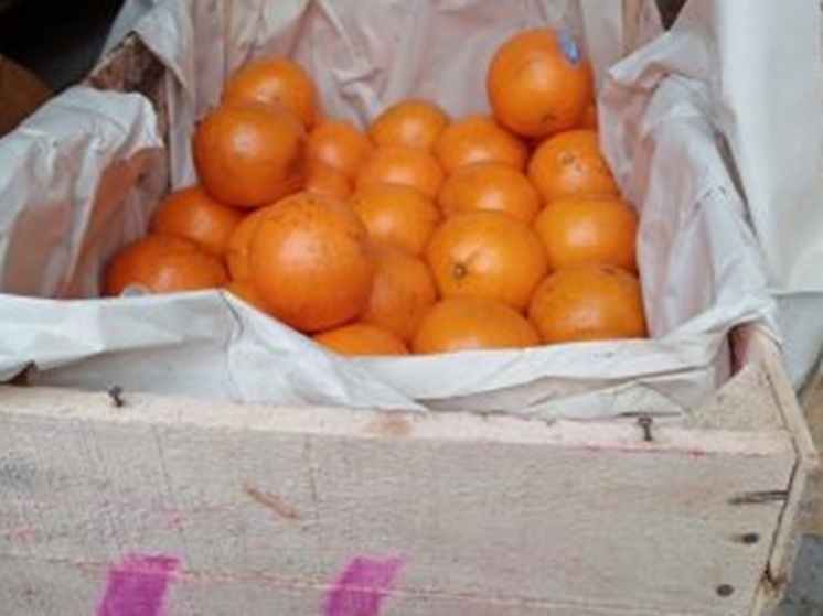 Больше 50 тонн яблок и мандаринов не пропустили через курганскую границу