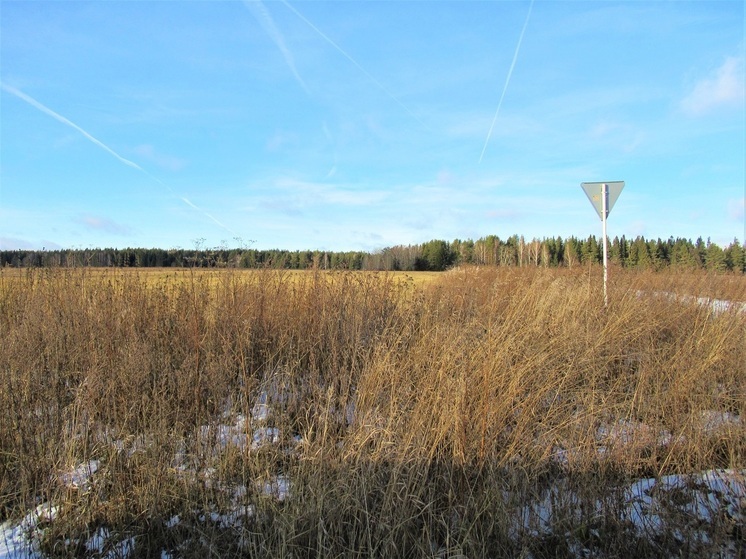 Курганская деревня может быть отрезана от большой земли из-за аварийного моста