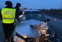 sverdlovskaya gibdd operativno rassleduet dtp s v kamenskeuralskom-ekaterinburgu-ru-174229048200-0