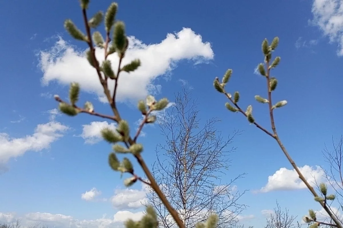 Свердловская область радуется весне — в Екатеринбурге потепление до +13 к выходным-0