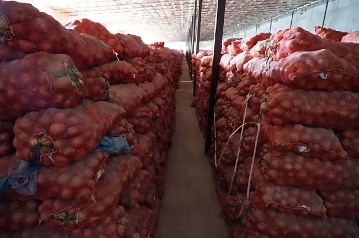 Свежие фрукты и овощи из Киргизии обогатят рынок Среднего Урала-0