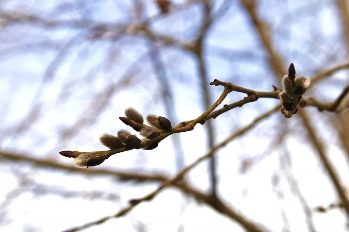 Теплая погода порадует жителей Свердловской области уже на следующей неделе-0