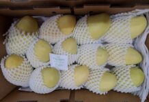 uralskoe tamozhennoe upravlenie otmechaet vzryvnoj rost postavok mango i pitaji iz kitaya-ekaterinburgu-ru-174343154900-0